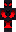 skin of a player