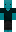skin of a player