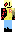 skin of a player
