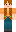 skin of a player