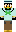 skin of a player