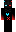 skin of a player