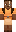 skin of a player