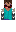 skin of a player