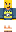 skin of a player