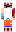 skin of a player