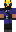 skin of a player