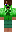 skin of a player