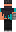 skin of a player