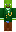 skin of a player