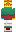 skin of a player