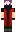 skin of a player