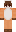 skin of a player
