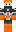 skin of a player