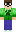 skin of a player
