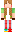 skin of a player