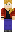 skin of a player