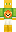skin of a player