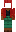 skin of a player
