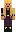 skin of a player