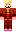 skin of a player