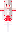 skin of a player