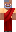 skin of a player