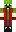 skin of a player