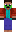 skin of a player