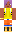 skin of a player