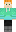 skin of a player