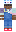 skin of a player