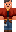 skin of a player