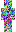 skin of a player