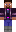 skin of a player
