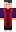 skin of a player