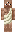 skin of a player