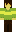 skin of a player