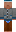 skin of a player