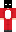 skin of a player