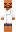 skin of a player