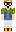 skin of a player