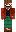 skin of a player