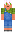 skin of a player