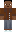 skin of a player
