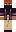skin of a player