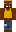 skin of a player