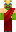 skin of a player