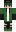 skin of a player