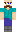 skin of a player